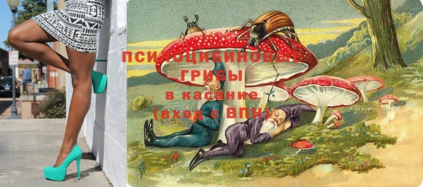а пвп мука Бугульма