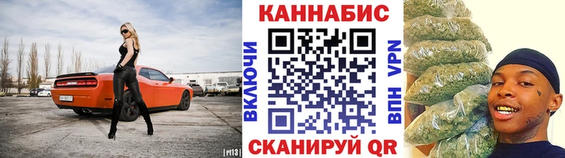 купить наркотики цена  Курган  Конопля тримм 